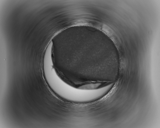 X0000095931377200802011012