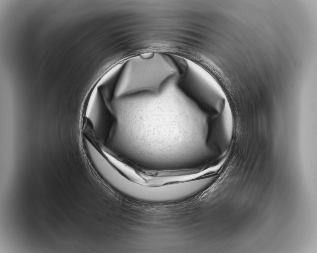 X0000095931378200802011012