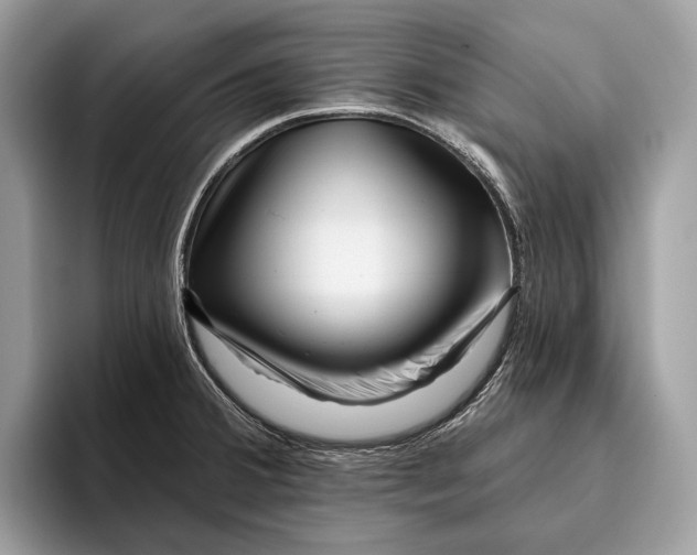 X0000095931380200802011012
