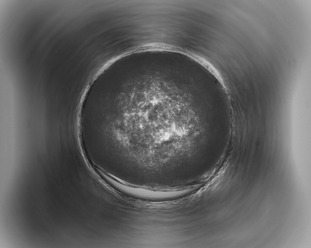 X0000095931381200802011012