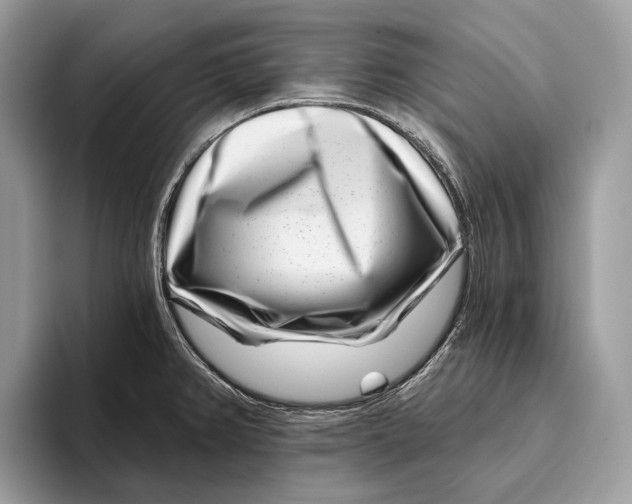 X0000095931382200802011012