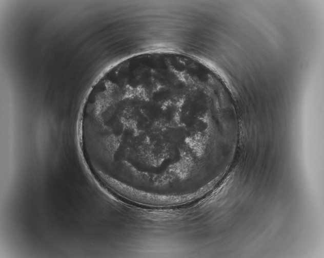 X0000095931383200802011012