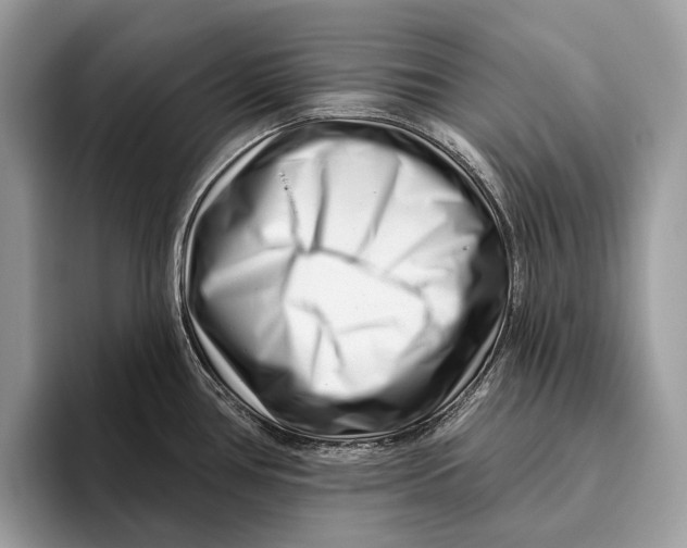 X0000095931386200802011012
