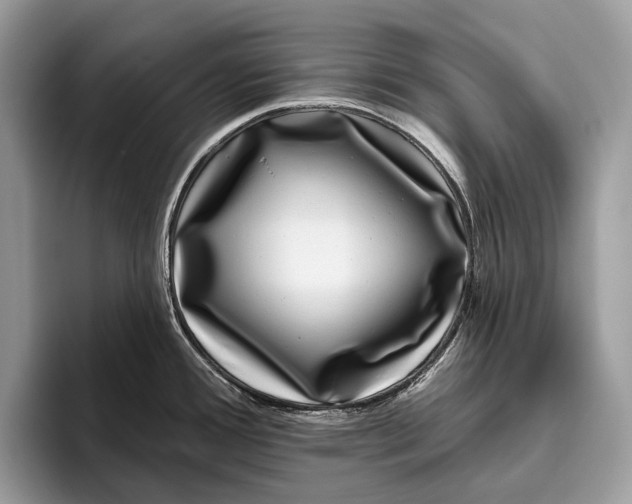 X0000095931388200802011012