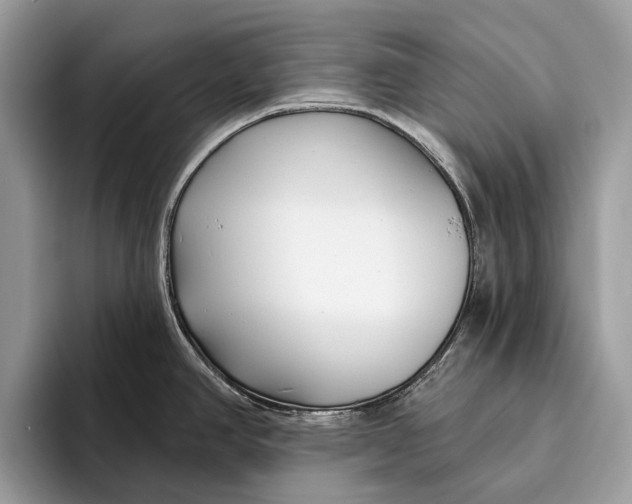 X0000095931390200802011012