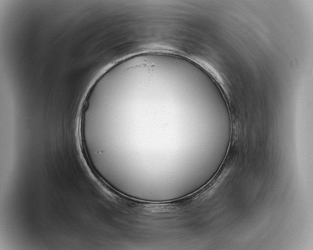 X0000095931391200802011012