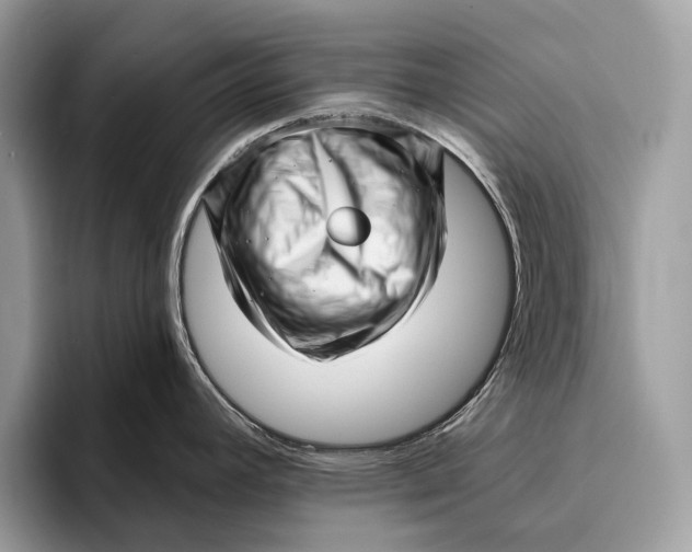 X0000095931392200802011012