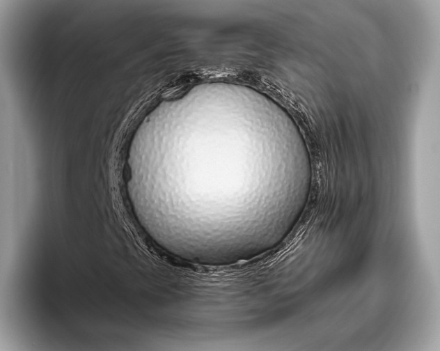 X0000095931393200802011012