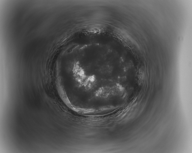 X0000095931394200802011012