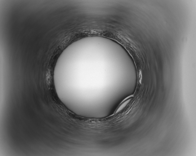 X0000095931395200802011012