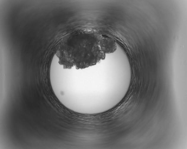 X0000095931396200802011012