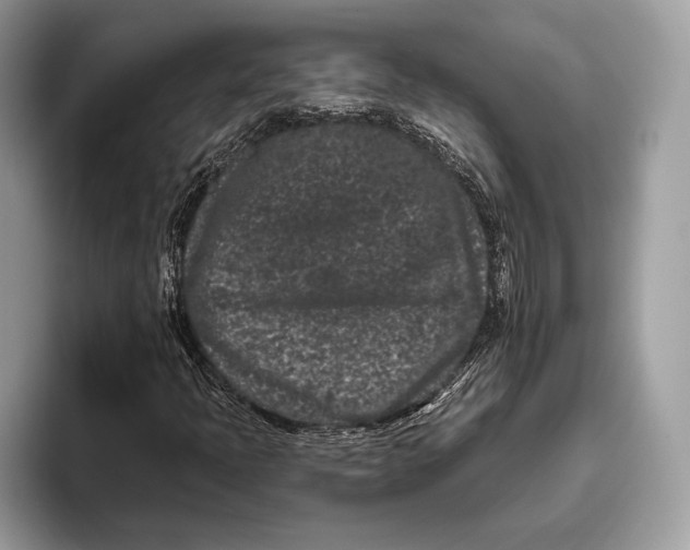 X0000095931397200802011012