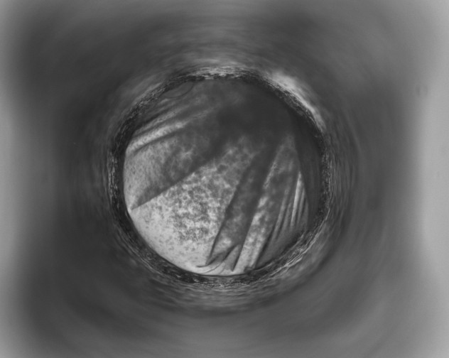 X0000095931399200802011012