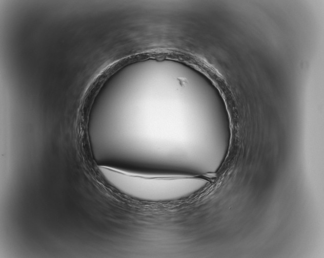 X0000095931400200802011012