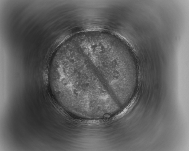 X0000095931401200802011012