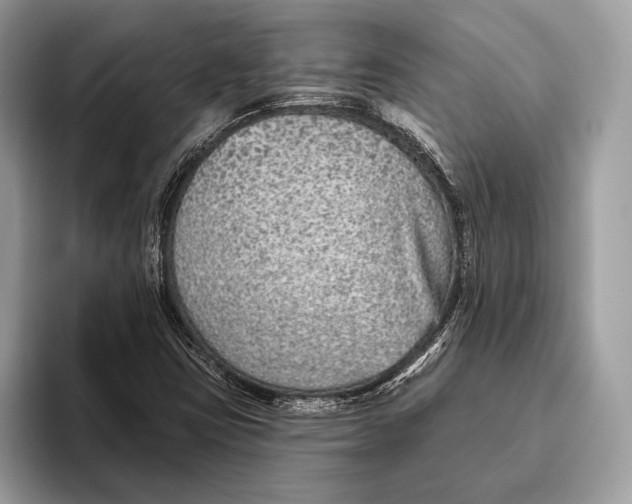 X0000095931403200802011012