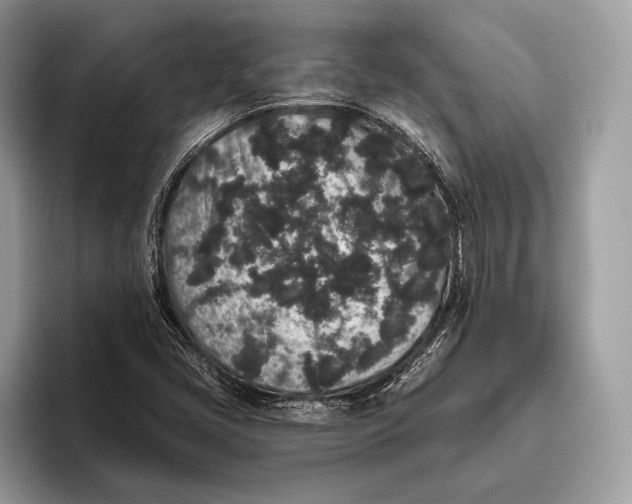 X0000095931405200802011012