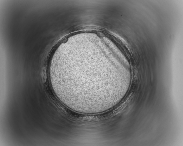 X0000095931407200802011012