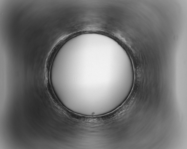 X0000095931408200802011012