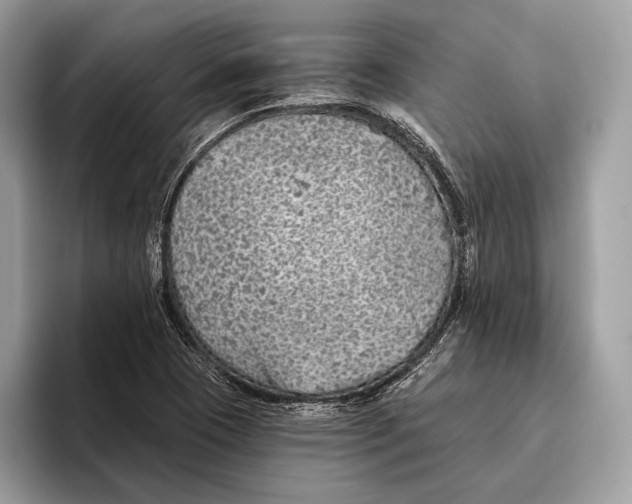 X0000095931409200802011012