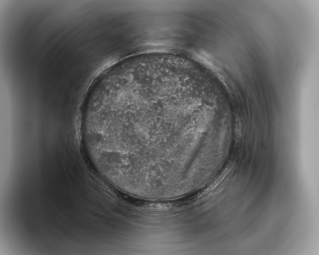 X0000095931411200802011012