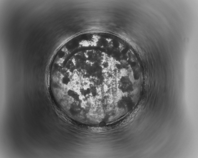 X0000095931413200802011012