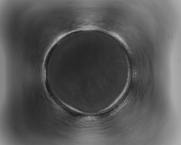 X0000095931414200802011012