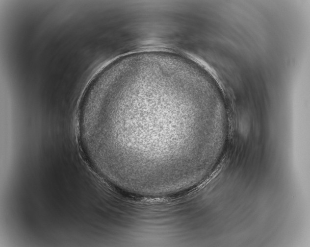 X0000095931415200802011012