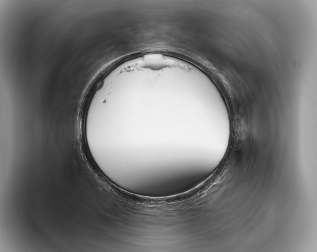 X0000095931416200802011012
