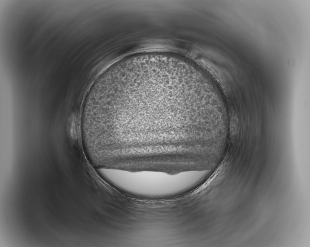 X0000095931417200802011012