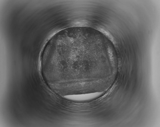 X0000095931419200802011012