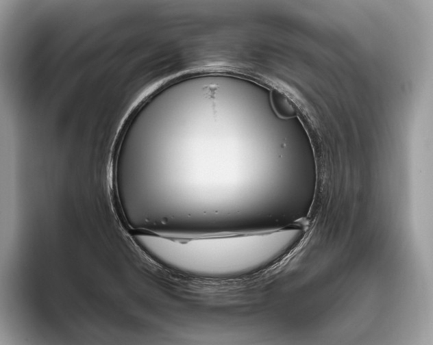 X0000095931420200802011012