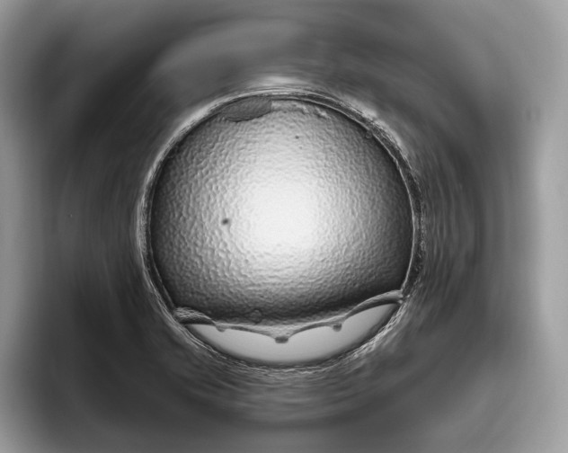 X0000095931421200802011012