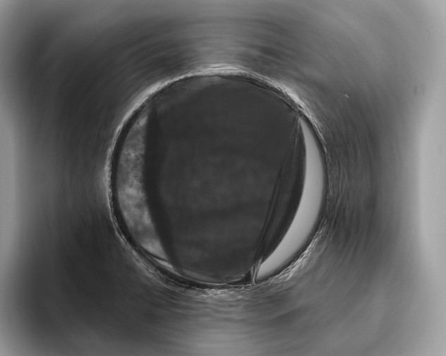 X0000095931422200802011012