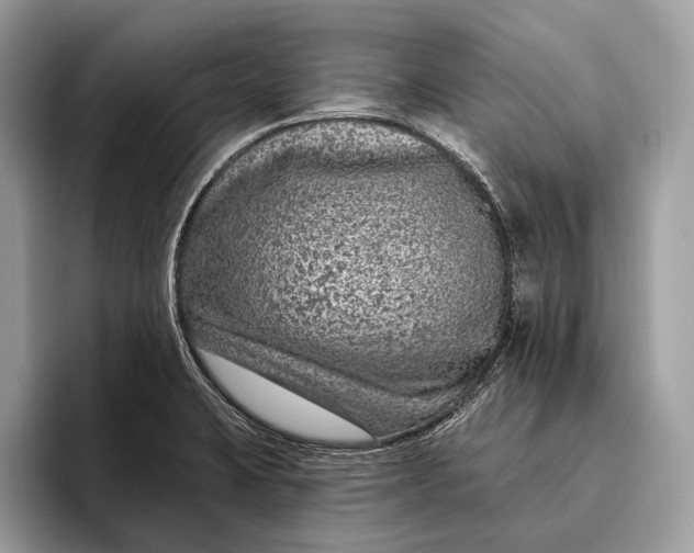 X0000095931423200802011012