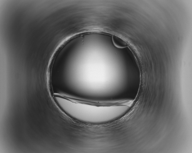 X0000095931424200802011012