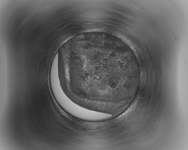 X0000095931425200802011012