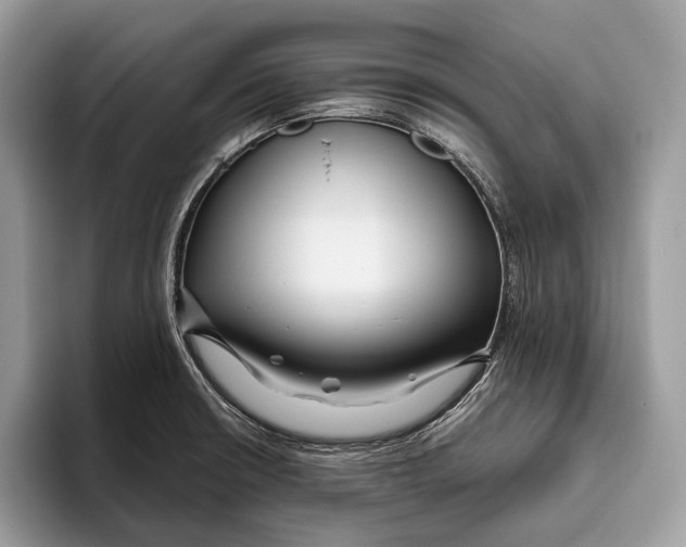 X0000095931426200802011012