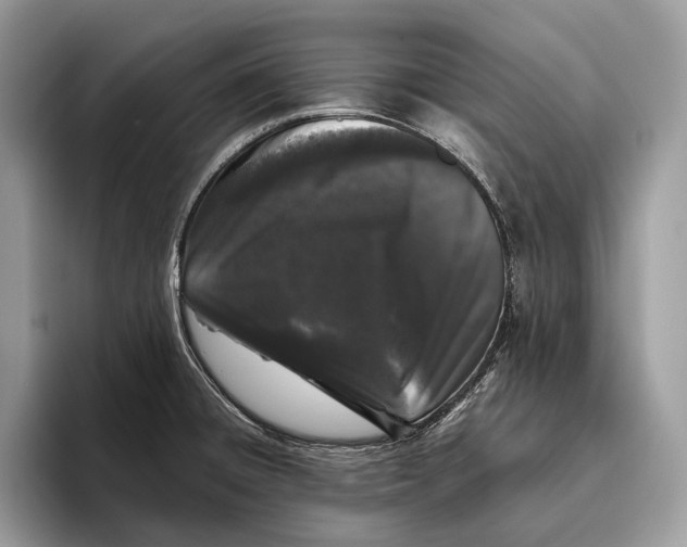 X0000095931428200802011012