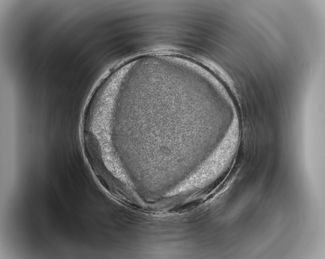 X0000095931429200802011012