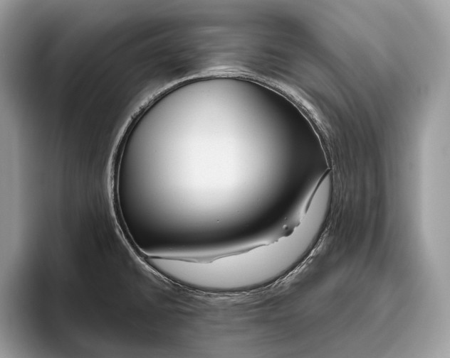 X0000095931430200802011012