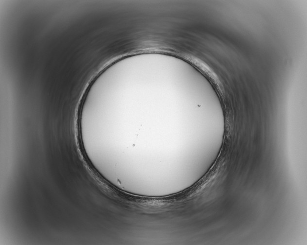 X0000095931431200802011012