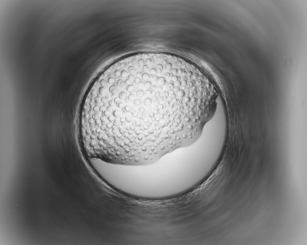 X0000095931432200802011012