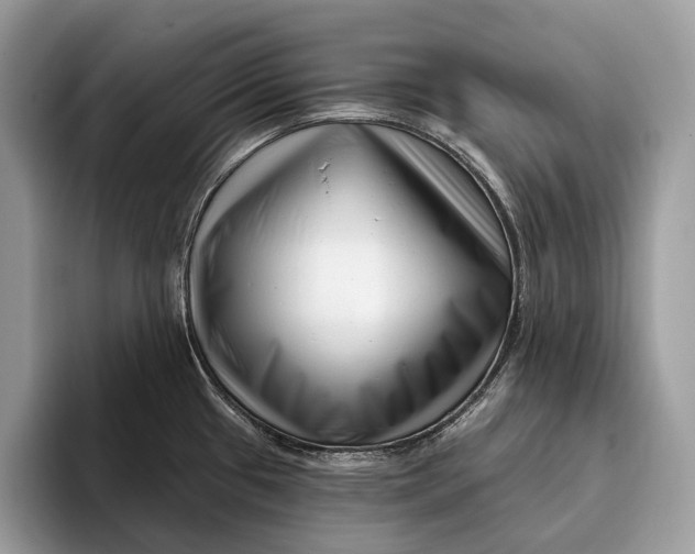 X0000095931433200802011012