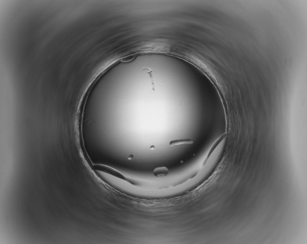 X0000095931434200802011012
