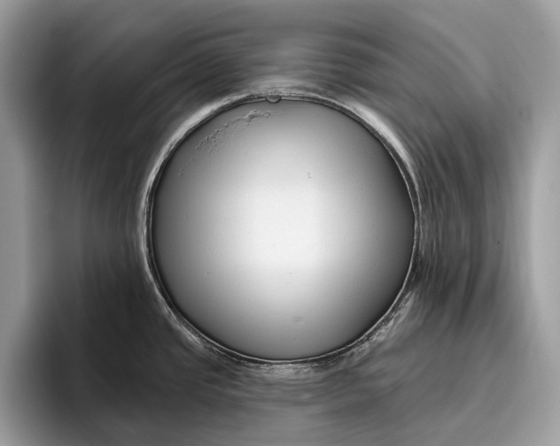 X0000095931437200802011012