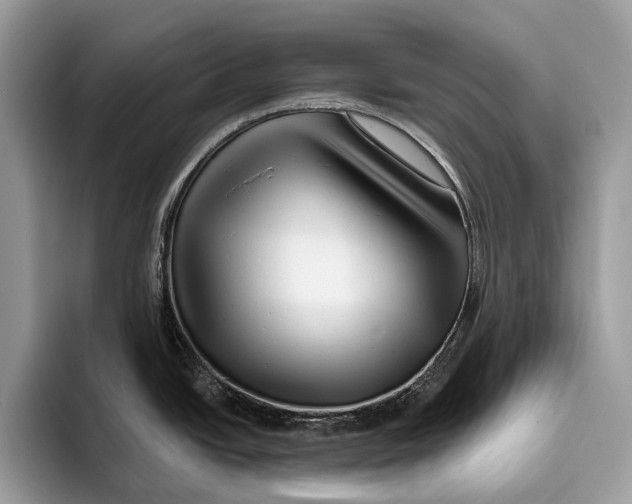 X0000095931438200802011012