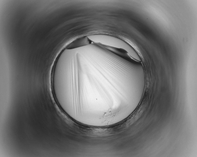 X0000095931439200802011012