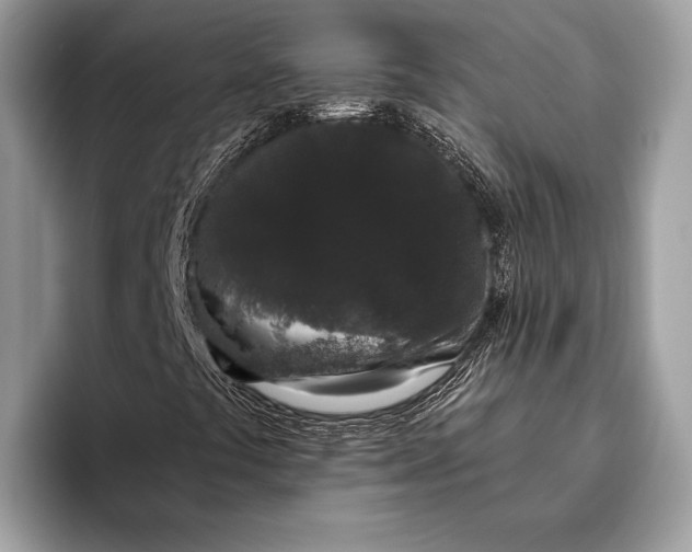 X0000095931441200802011012