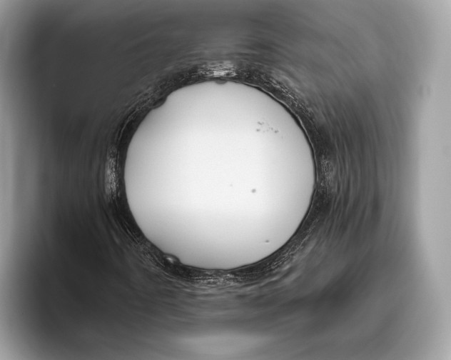 X0000095931442200802011012